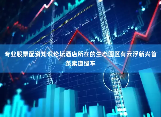 专业股票配资知识论坛酒店所在的生态园区有云浮新兴首条索道缆车