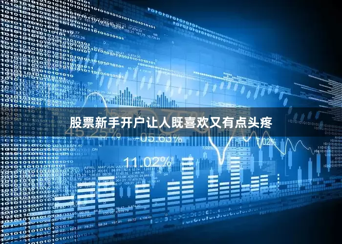 股票新手开户让人既喜欢又有点头疼