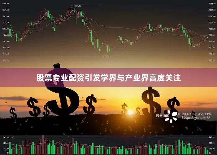 股票专业配资引发学界与产业界高度关注